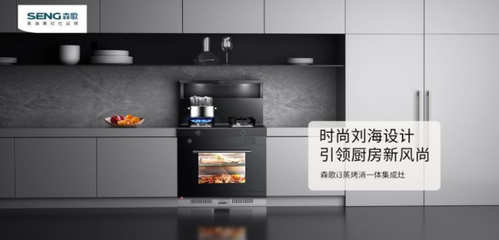 森歌集成灶排名第幾?集成灶行業(yè)頭部品牌,加盟商重點關注!